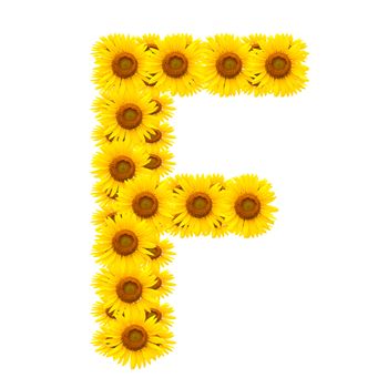 alphabet F , sunflower isolated on white background 