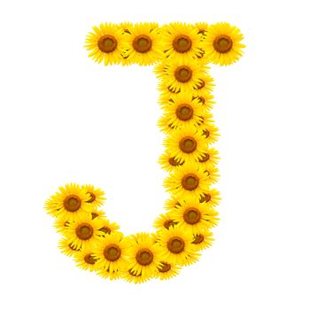 alphabet J , sunflower isolated on white background