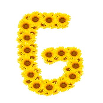 alphabet G , sunflower isolated on white background