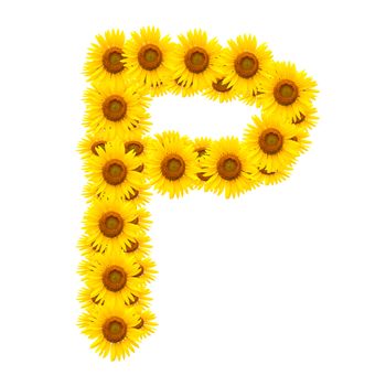 Alphabet P , sunflower isolated on white background