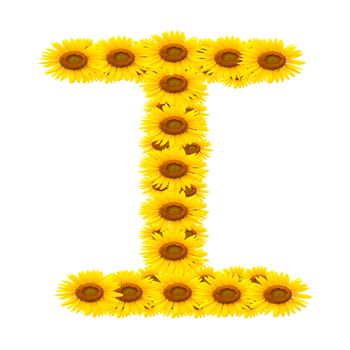 alphabet I , sunflower isolated on white background