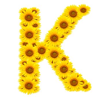 alphabet K , sunflower isolated on white background
