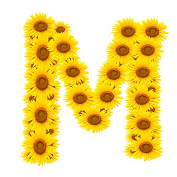 alphabet M , sunflower isolated on white background