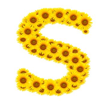 alphabet S , sunflower isolated on white background