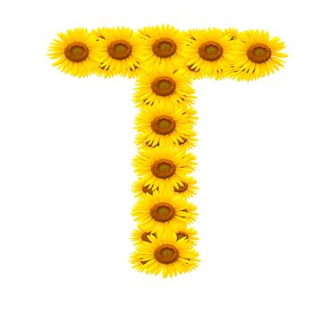 alphabet T , sunflower isolated on white background