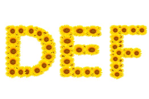 alphabet DEF, sunflower isolated on white background