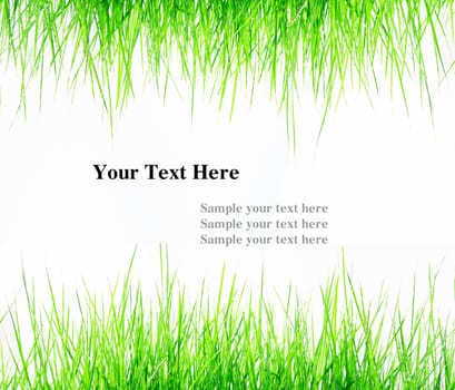 Fresh Green Grass Frame with space for your text