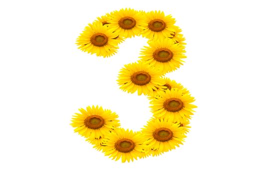 Number 3,  Sunflower isolate on White background