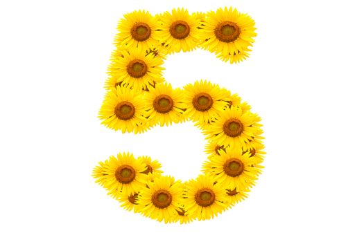 Number 5,  Sunflower isolate on White background