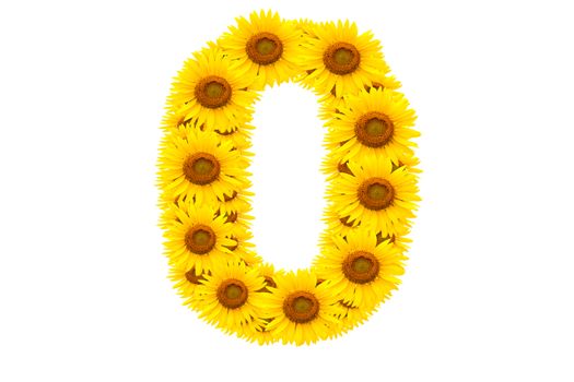 Number 0,  Sunflower isolate on White background