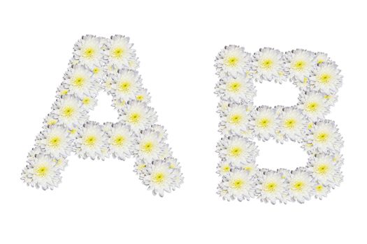 alphabet AB , White Flower isolated on white background