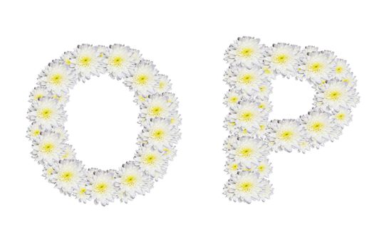 alphabet OP , White Flower isolated on white background