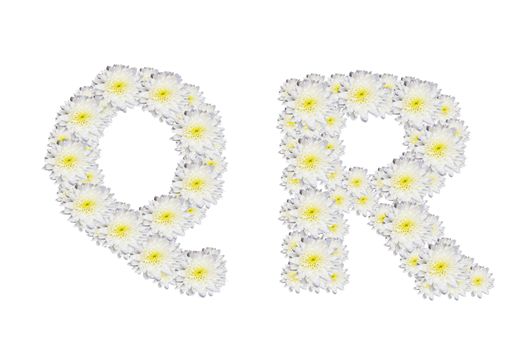alphabet QR , White Flower isolated on white background