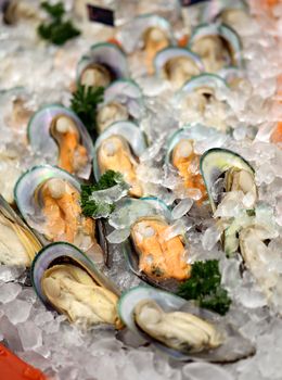 Mussels in shells lay on the ice in the window