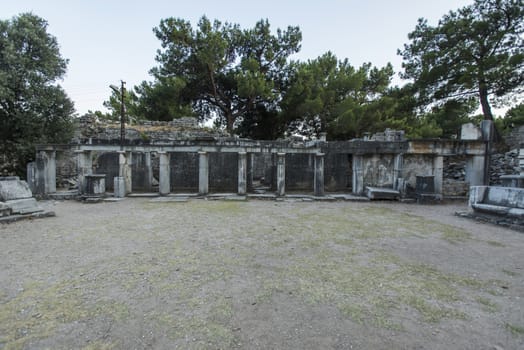 Columns of Priene