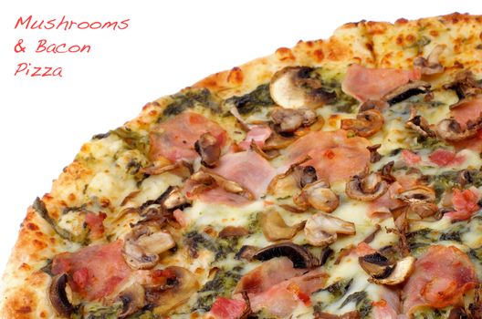 Freshly Baked Pizza with Edible Mushrooms, Bacon, Cheese and Spinach Sauce Cross Section on white background