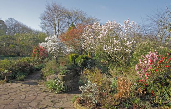 An attractive domestic English garden with Spring blossom and early flowers in April.