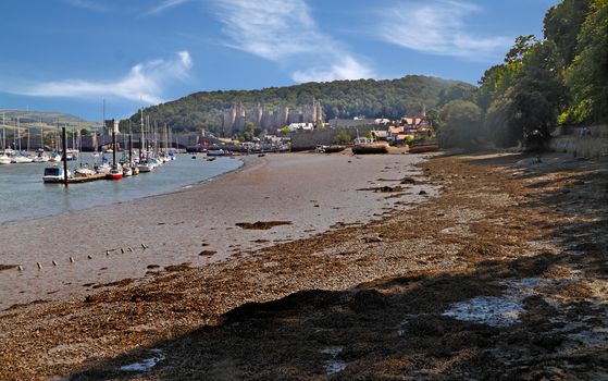 The Conwy estuary at low tide, with the 13th century castle beyond the town.