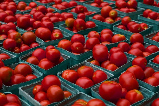 Cartons of bright red Tomatoes on display at farmers market