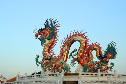 Chinese golden dragon on beautiful sky background