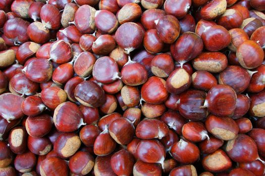 Pile of Chestnuts at the farmers market