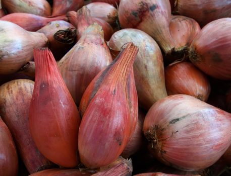 Pile of Shallots at the farmers market