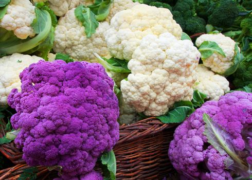 White and Purple Cauliflower in a straw basket at the Farmers market