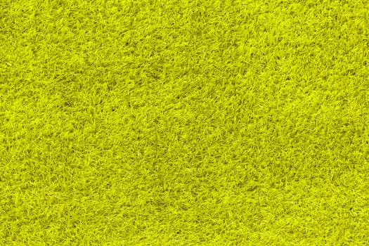 yellow grass as background or texture