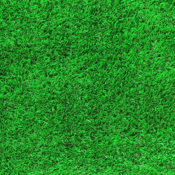 Green grass as background or texture