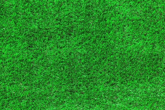 Green grass as background or texture