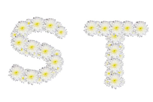alphabet ST , White Flower isolated on white background