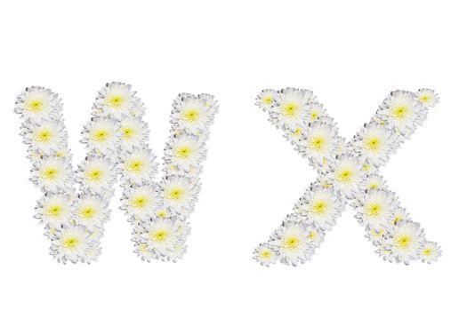 alphabet WX , White Flower isolated on white background