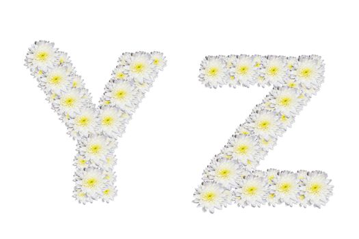 alphabet YZ , White Flower isolated on white background