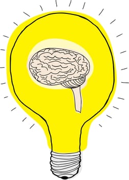 Human brain inside light bulb over white background