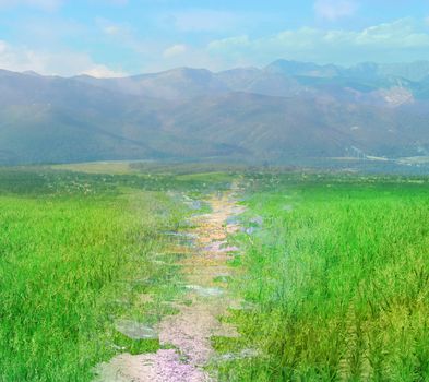 rural summer landscape close to high mountain