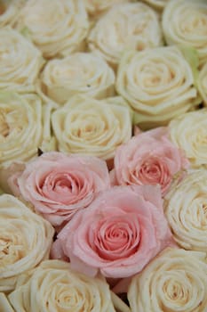 Pink and white roses in a elegant and classic wedding arrangement