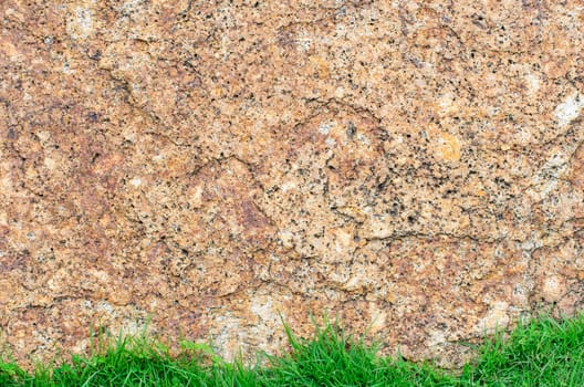 Green grass and background as a rock