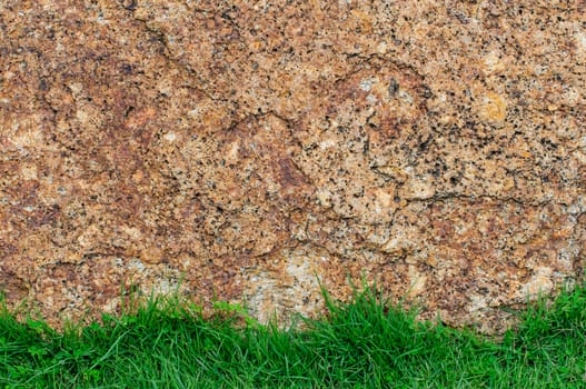 Green grass and background as a rock