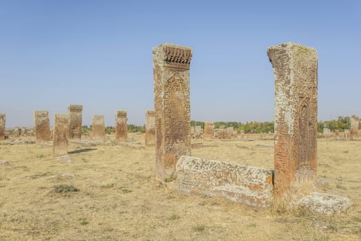 seljuk turk cemetery in ahlat, bitlis