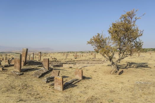 seljuk turk cemetery in ahlat, bitlis