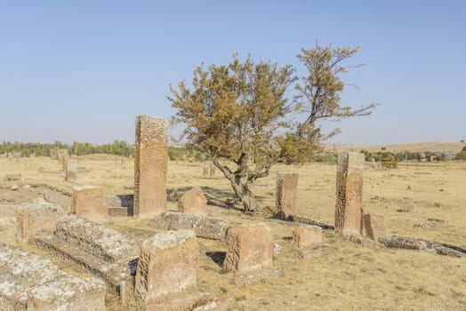 seljuk turk cemetery in ahlat, bitlis