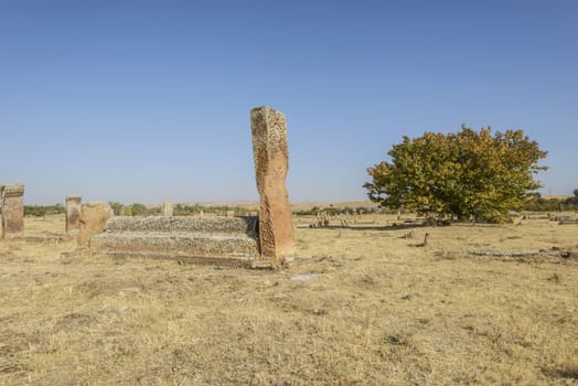 seljuk turk cemetery in ahlat, bitlis