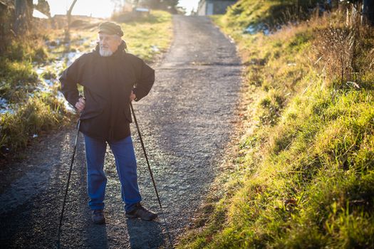 Senior man nordic walking, enjoying the outdoors, the fresh air, getting the necessary exercise