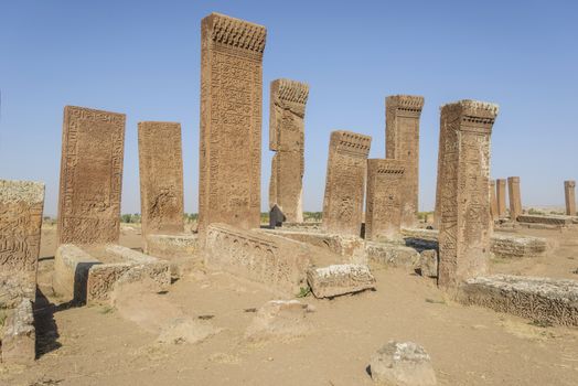 seljuk turk cemetery in ahlat, bitlis