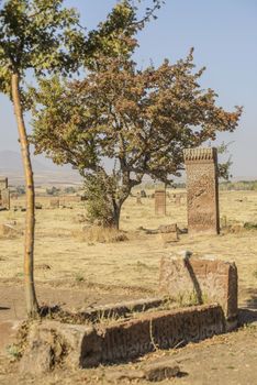 seljuk turk cemetery in ahlat, bitlis