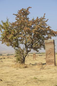 seljuk turk cemetery in ahlat, bitlis