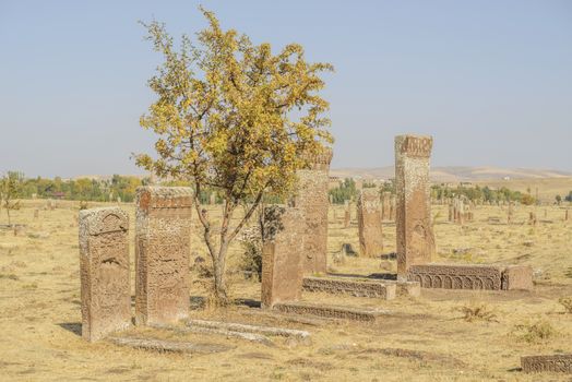 seljuk turk cemetery in ahlat, bitlis