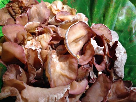 the raw ear mushroom in a basket