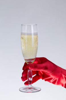 Female hand in red opera glove holding champagne glass, studio shot on gray background  