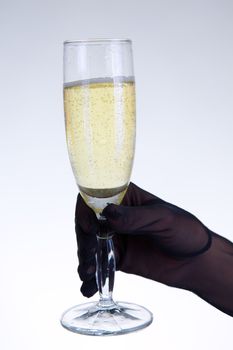 Woman holding champagne glass, studio shot on gray background  